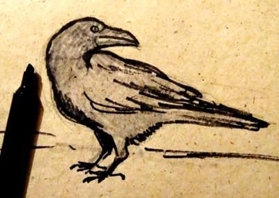 Милый рисунок вороны для детей карандашом (2)