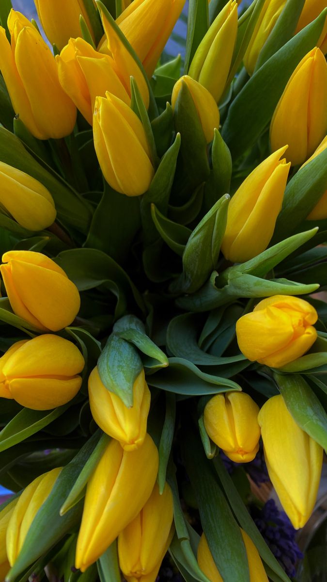 Разноцветные тюльпаны для девушки с 8 марта (19)