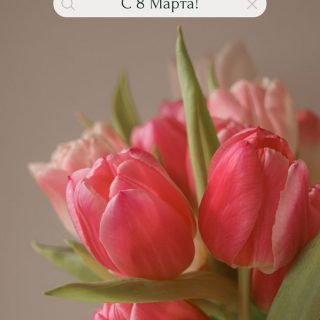 Разноцветные тюльпаны для девушки с 8 марта (2)