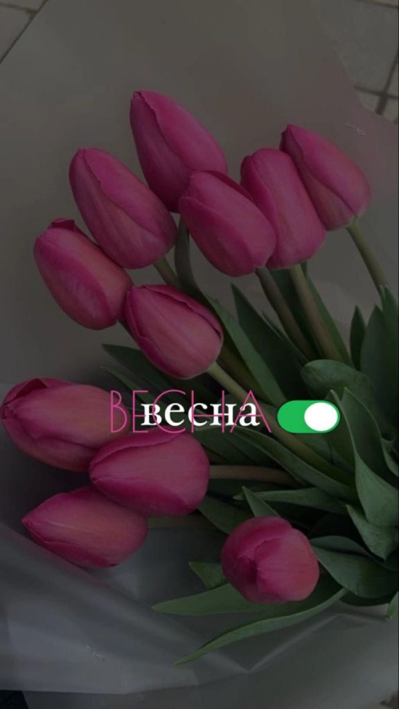 Розовые тюльпаны девушке на 8 марта - картинки (1)