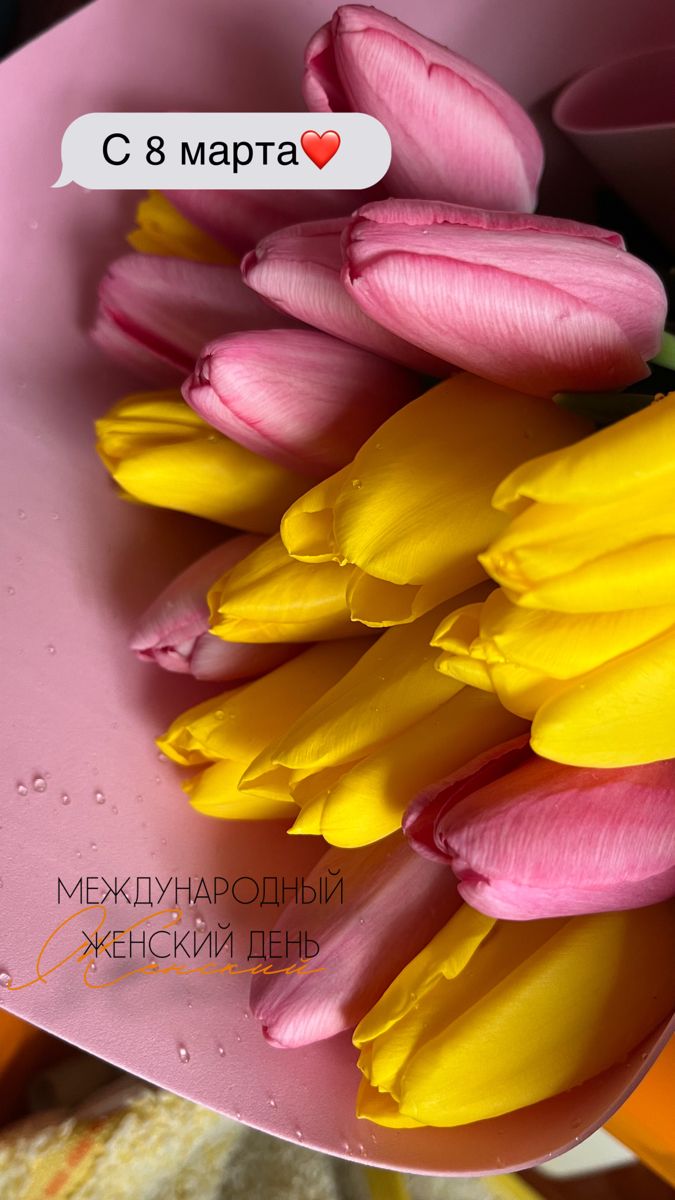 Розовые тюльпаны девушке на 8 марта   картинки (14)