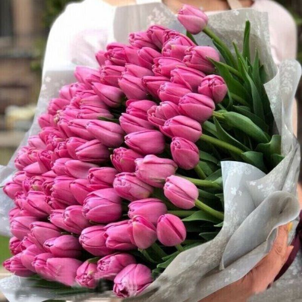 Розовые тюльпаны девушке на 8 марта - картинки (21)