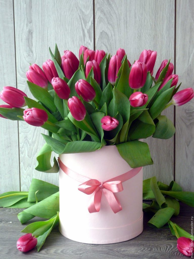 Розовые тюльпаны девушке на 8 марта - картинки (3)