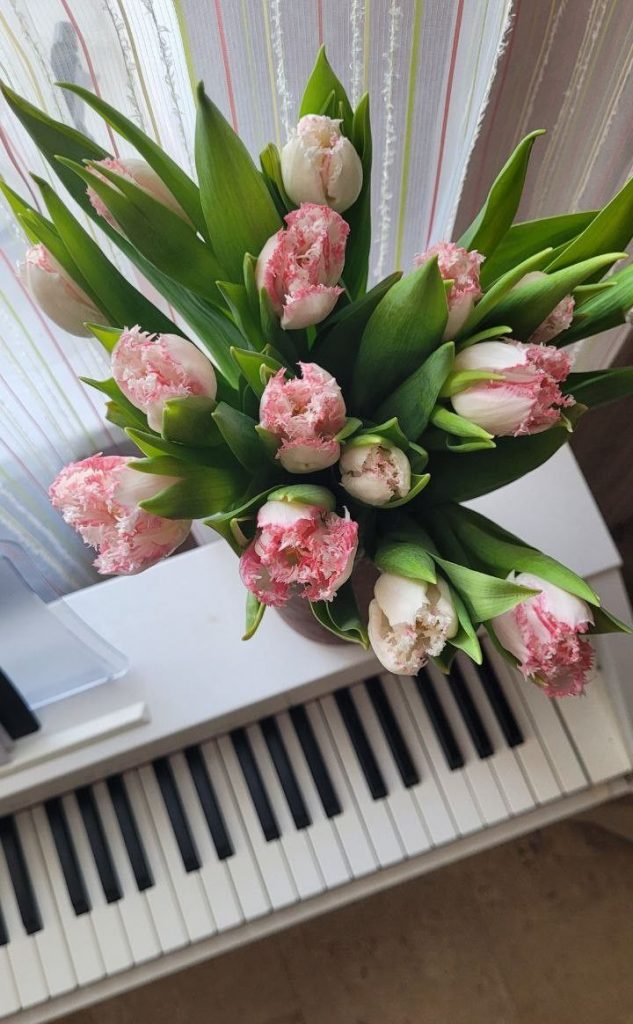 Розовые тюльпаны девушке на 8 марта - картинки (8)