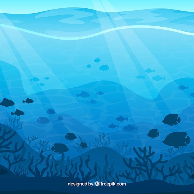 Фон подводный мир для телефона на заставку (21)