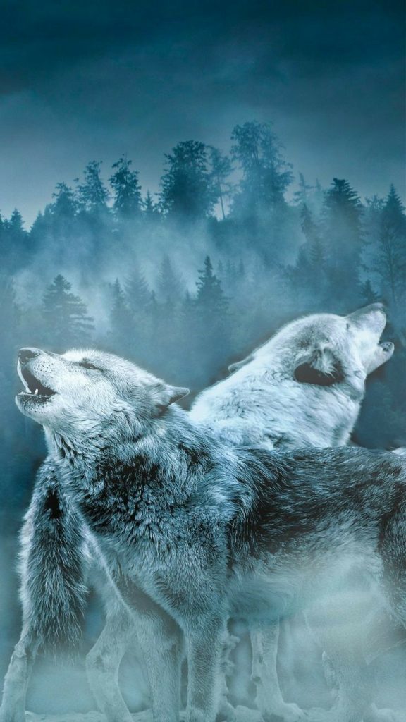 Фото волков на обои для телефона - сборка (10)