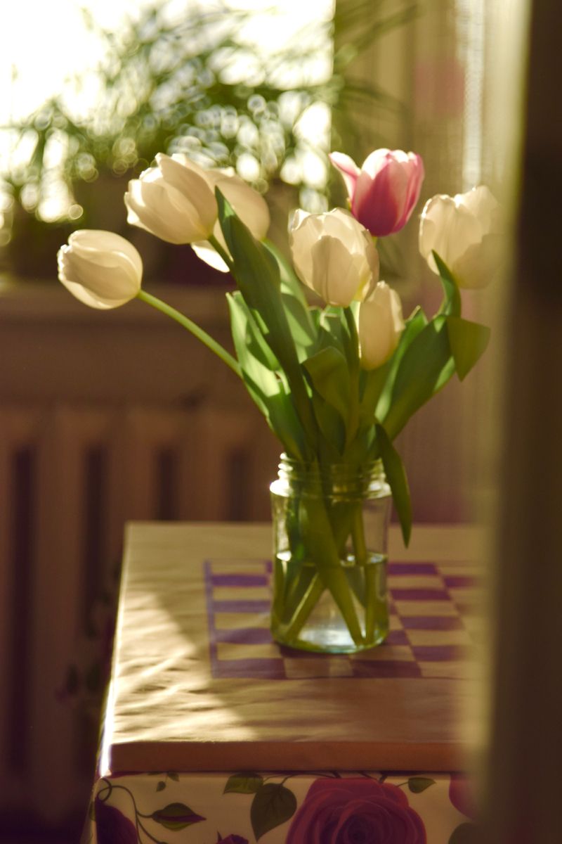 Букет нежных тюльпанов   обои на телефон (18)