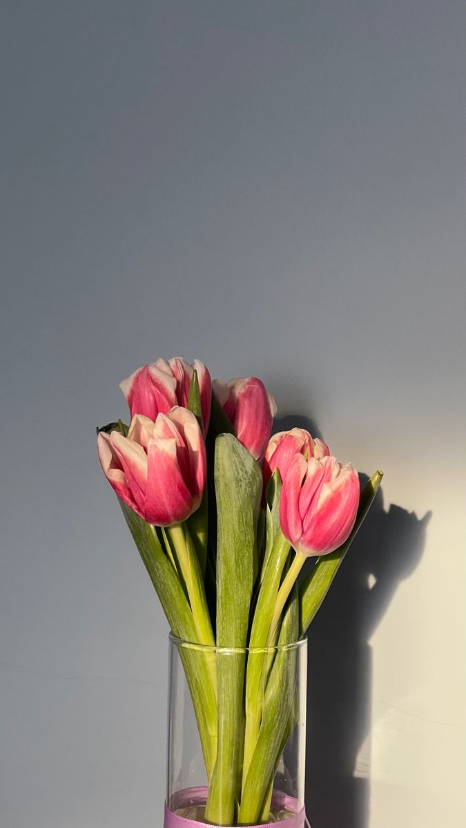 Букет нежных тюльпанов   обои на телефон (27)