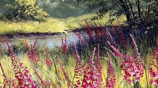 Интересный рисунок карандашом поле с цветами (4)