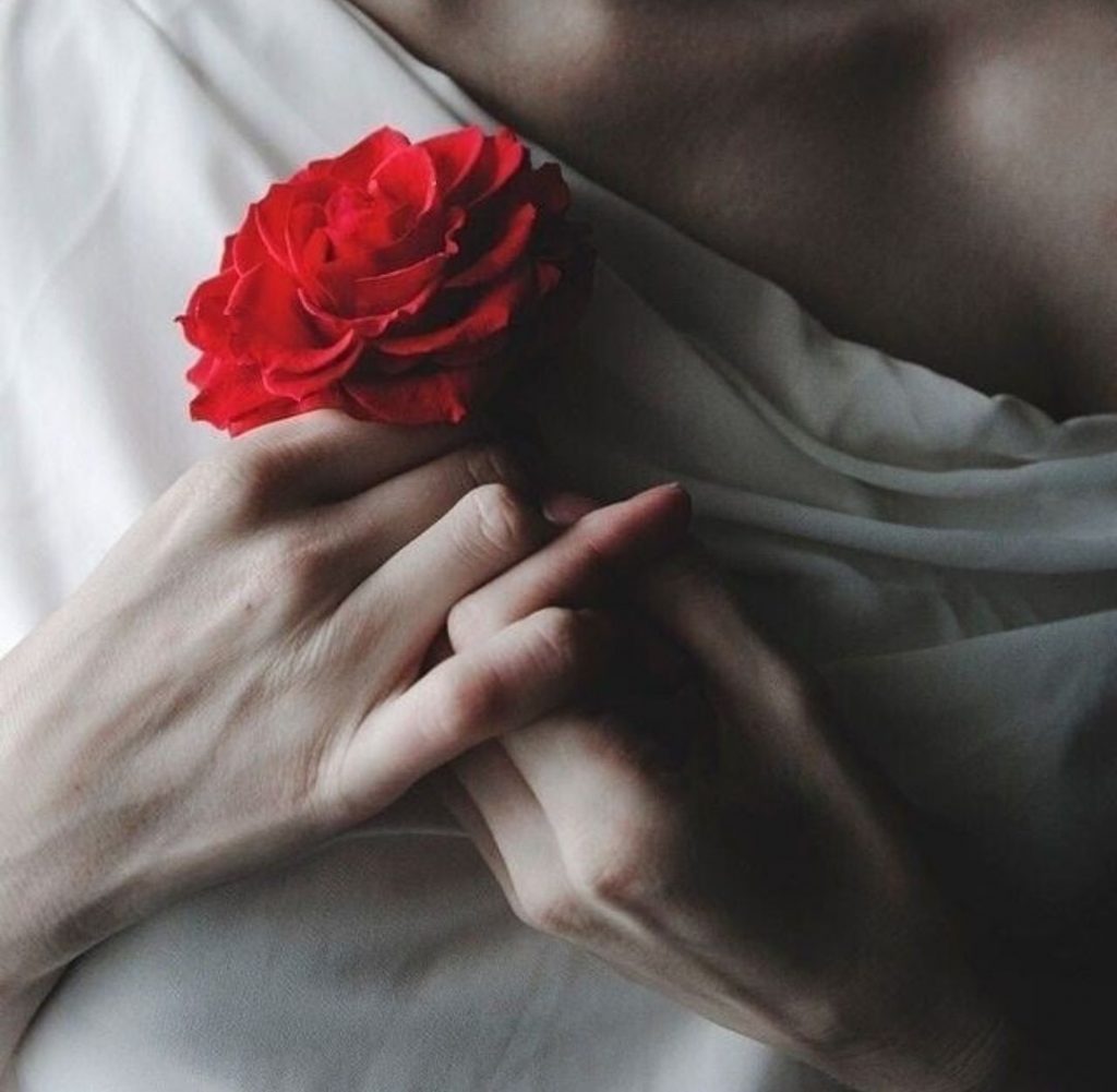 Красивые розы в руке девушки фото (36)
