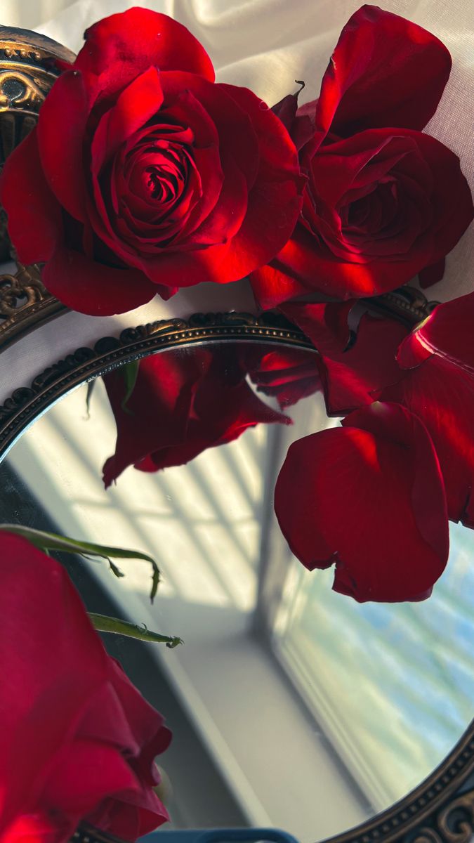Красивые розы в руке девушки фото (38)
