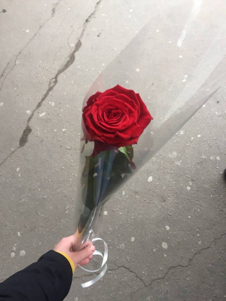 Красивые розы в руке девушки фото (39)