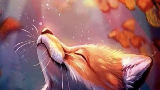 Красивые фото лисы на аватарку (20)