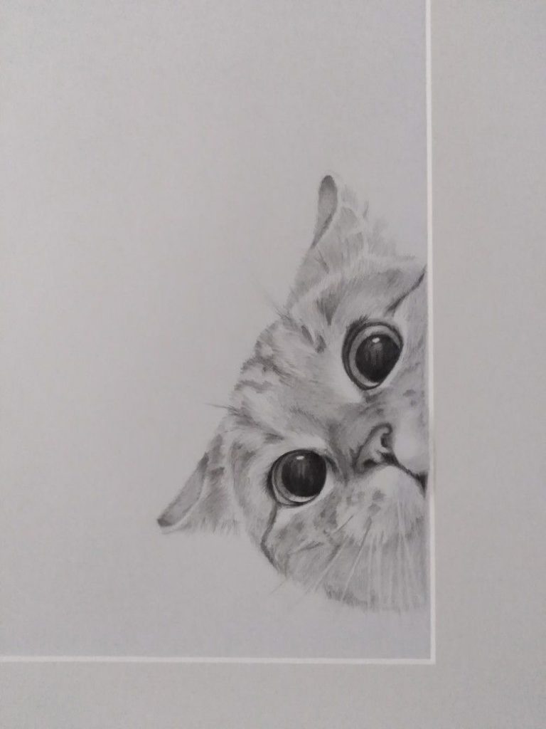 Милые рисунки котят для срисовки карандашом (16)