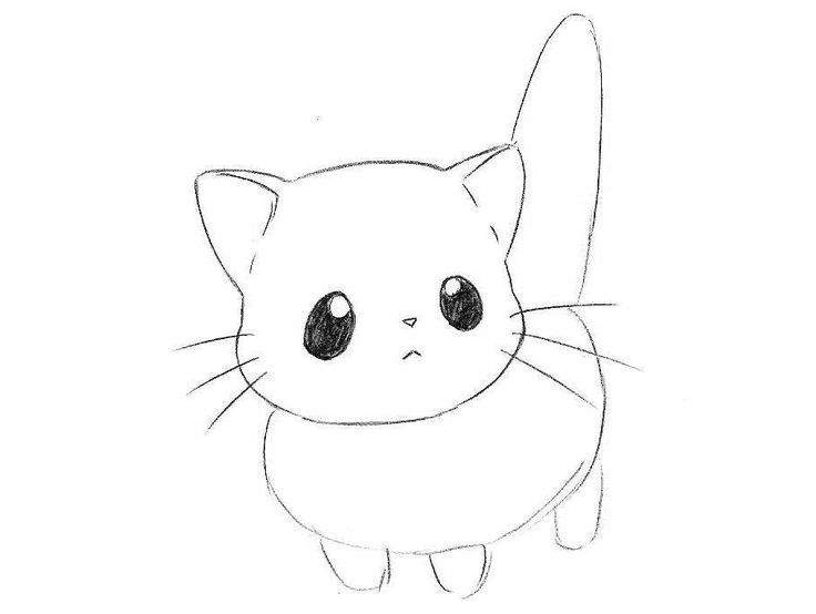 Милые рисунки котят для срисовки карандашом (26)