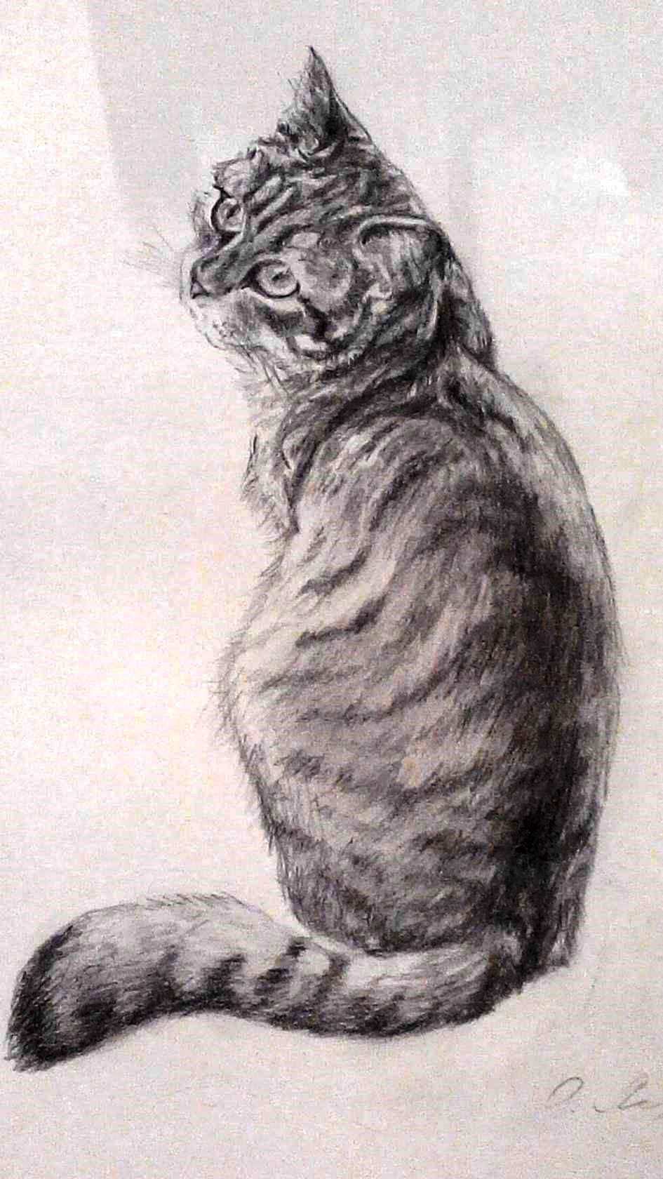Милые рисунки котят для срисовки карандашом (8)