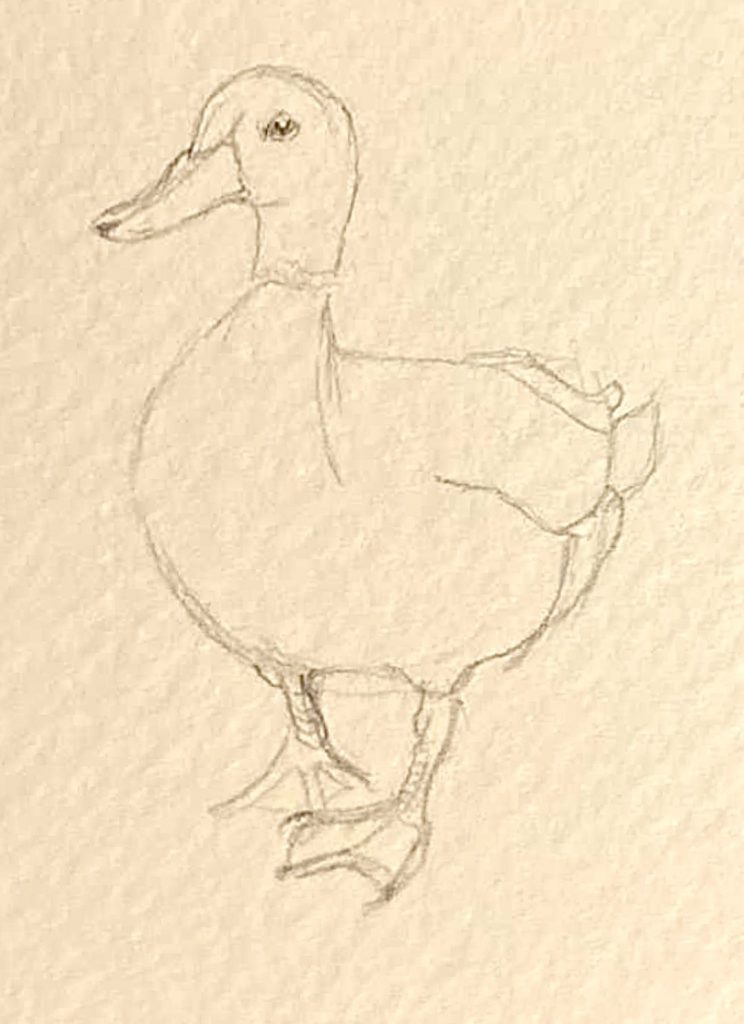 Милый рисунок утка с утятами - подборка (22)
