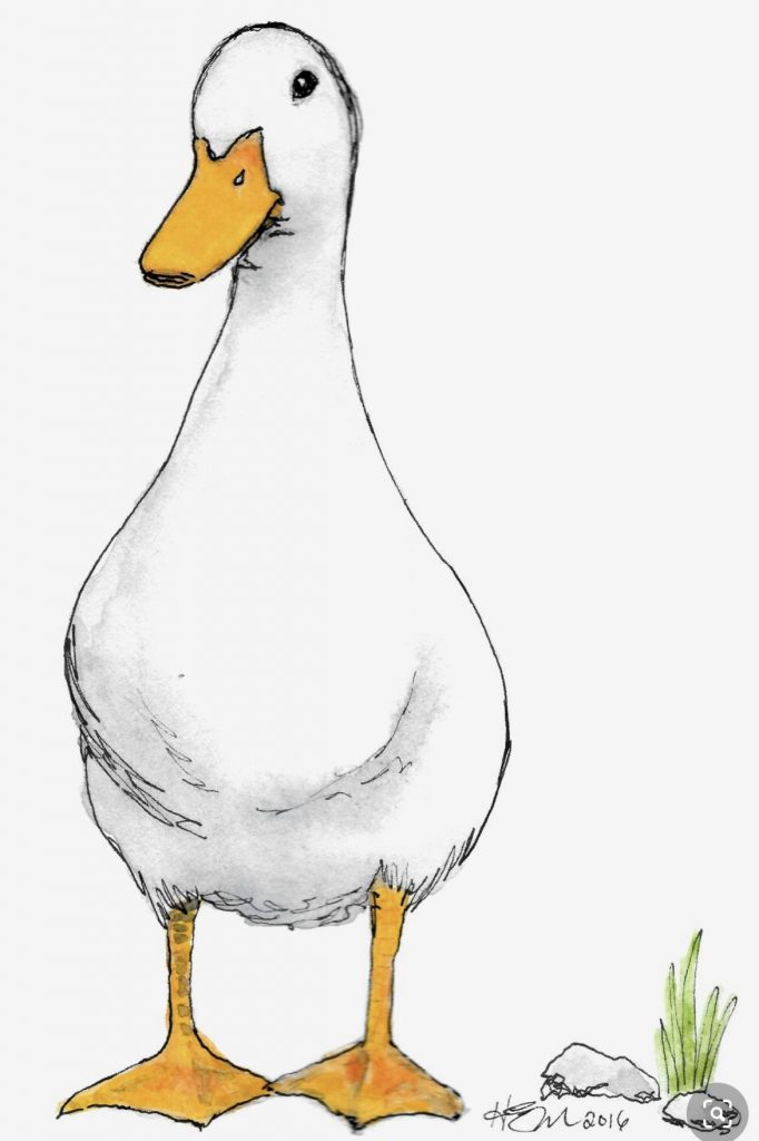 Милый рисунок утка с утятами - подборка (23)