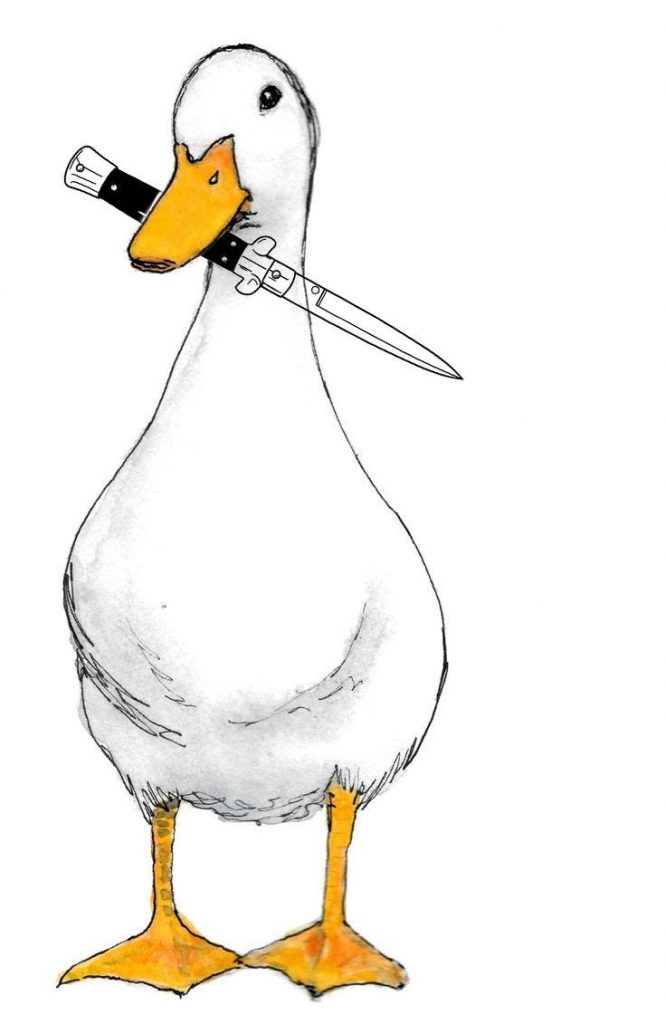 Милый рисунок утка с утятами - подборка (8)