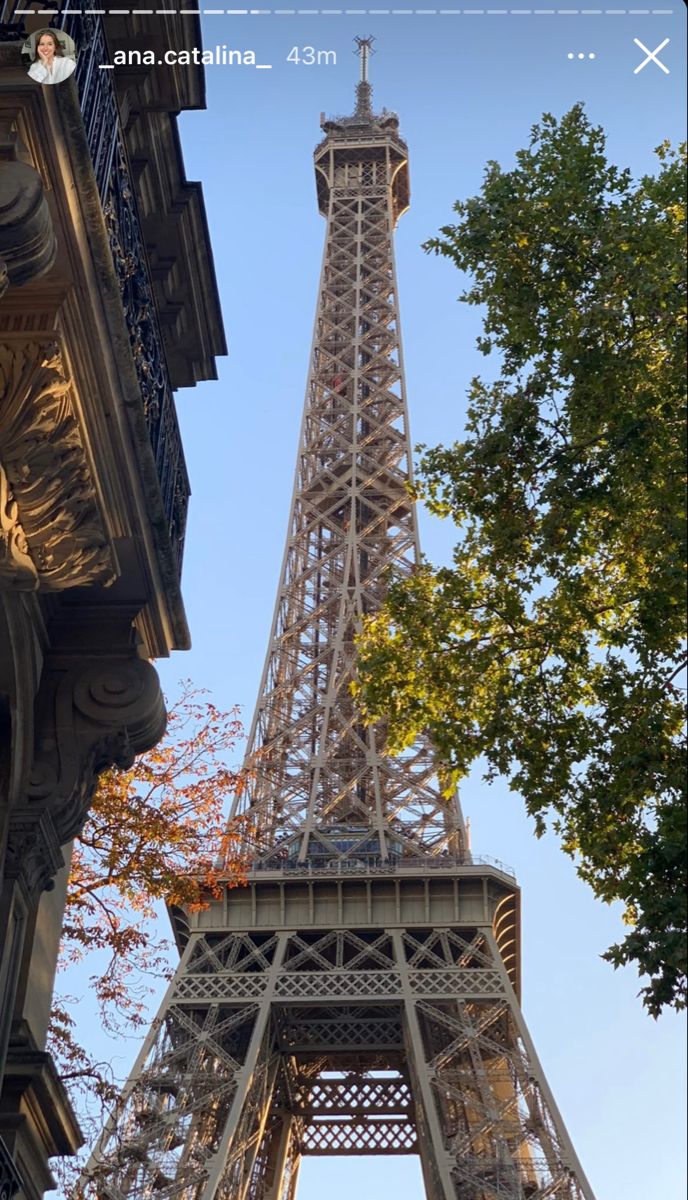 Осень в Париже обои на заставку Айфона (10)