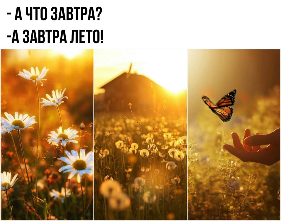 Картинки это лето будет нашим