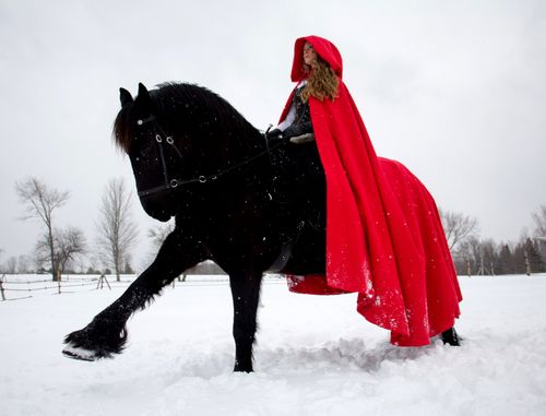 Интересные фото девушки на лошади зимой (1)