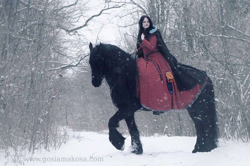 Интересные фото девушки на лошади зимой (12)