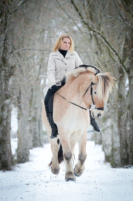 Интересные фото девушки на лошади зимой (17)