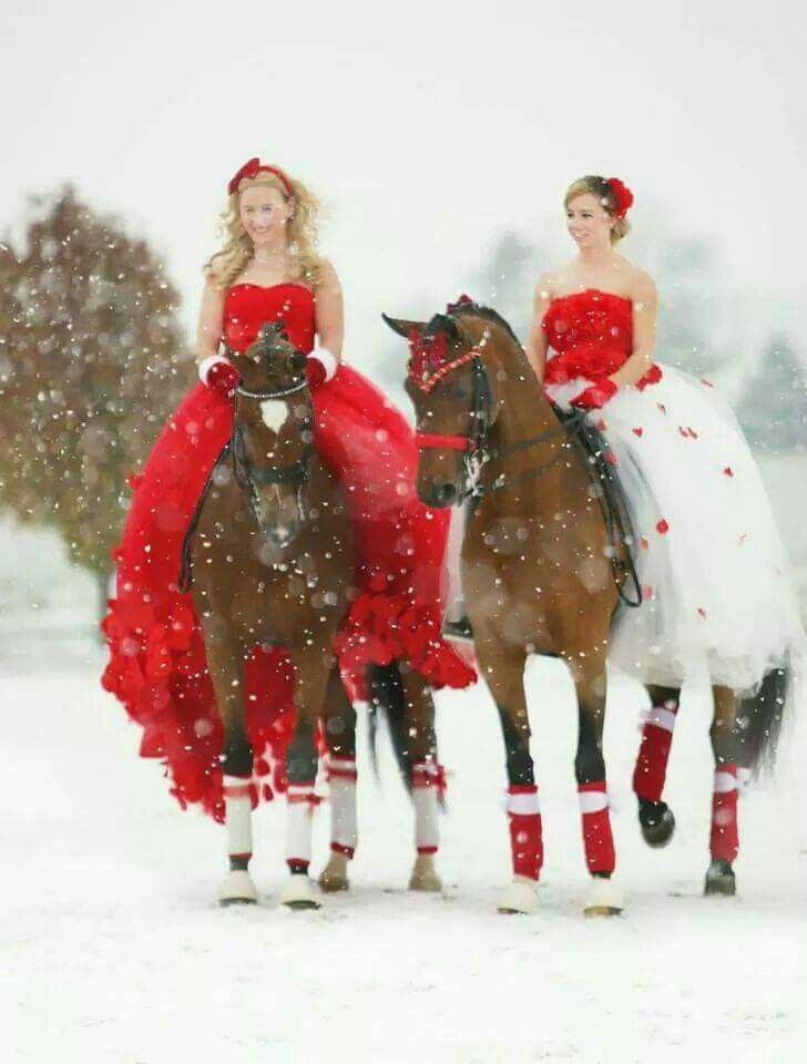 Интересные фото девушки на лошади зимой (19)