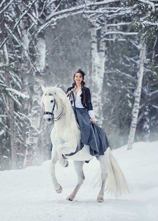 Интересные фото девушки на лошади зимой (20)