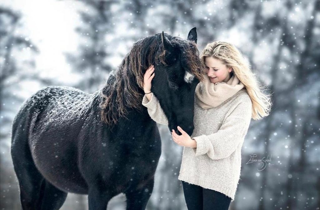 Интересные фото девушки на лошади зимой (7)