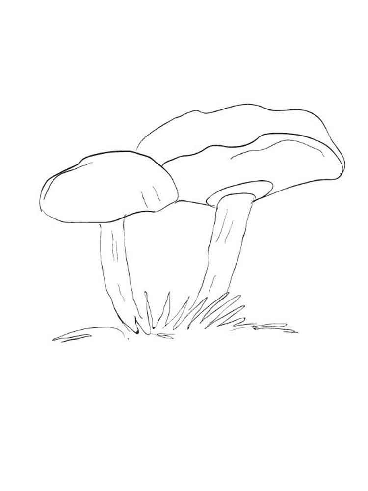 Как нарисовать масленок гриб поэтапно - картинки (9)