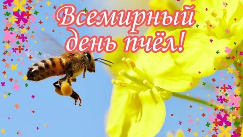 Картинки на Всемирный день пчёл за 2023 год (12)