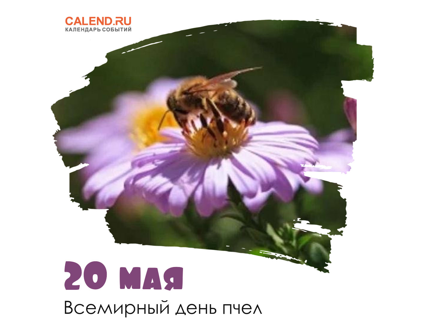 Картинки на Всемирный день пчёл за 2023 год (5)