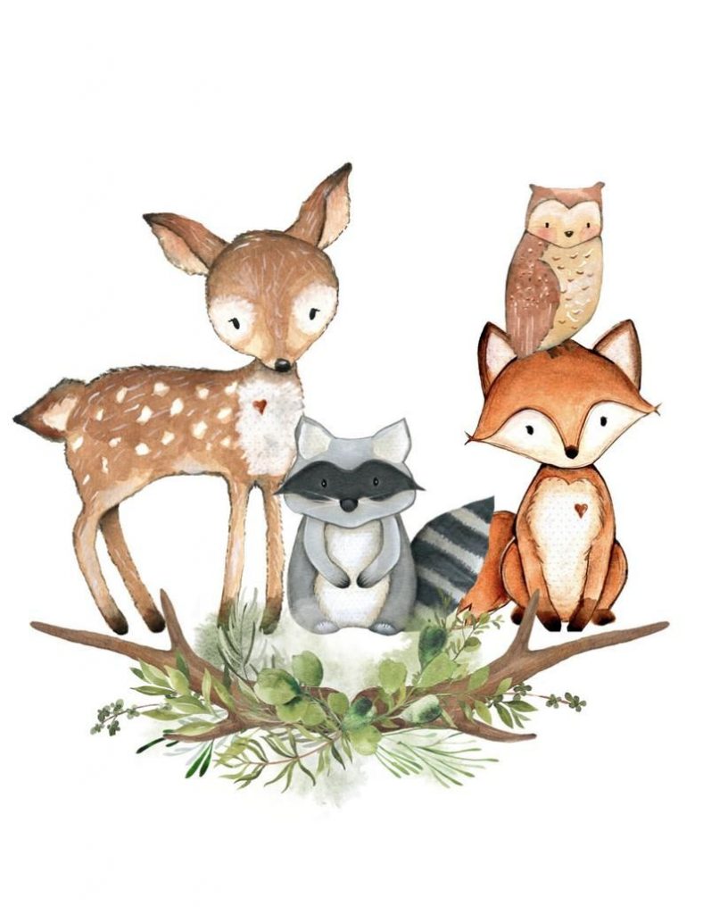 Красивые рисунки на тему лесные животные (14)