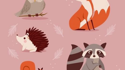 Красивые рисунки на тему лесные животные (27)