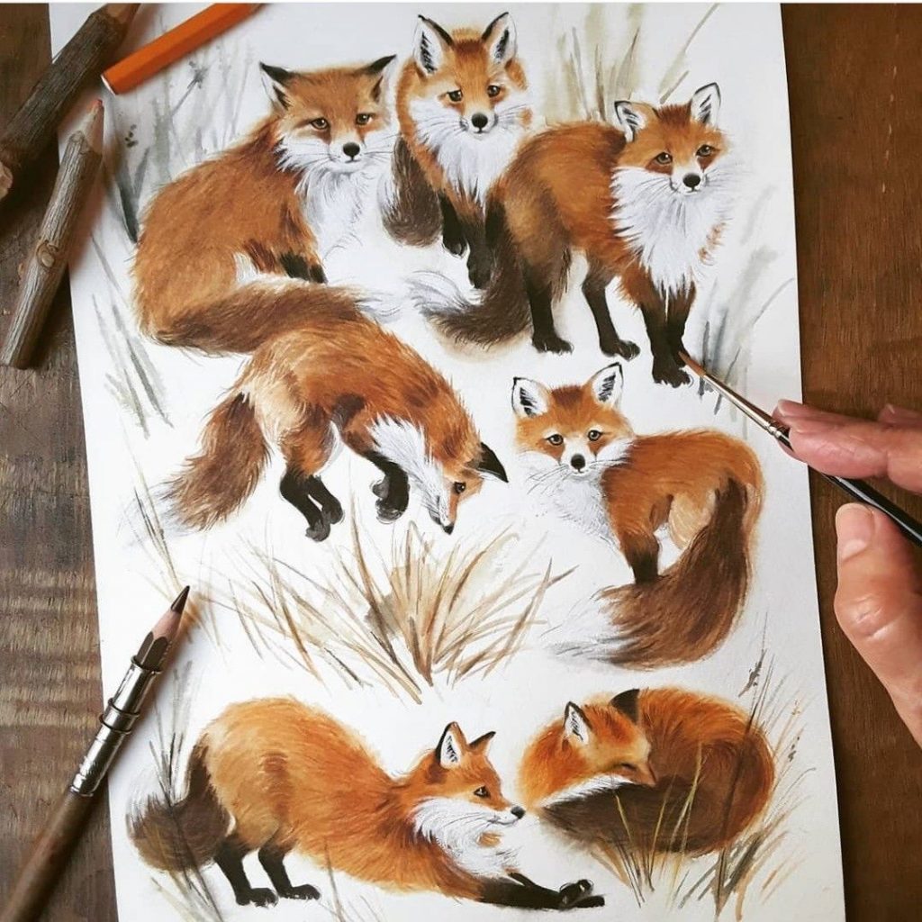 Красивые рисунки на тему лесные животные (3)