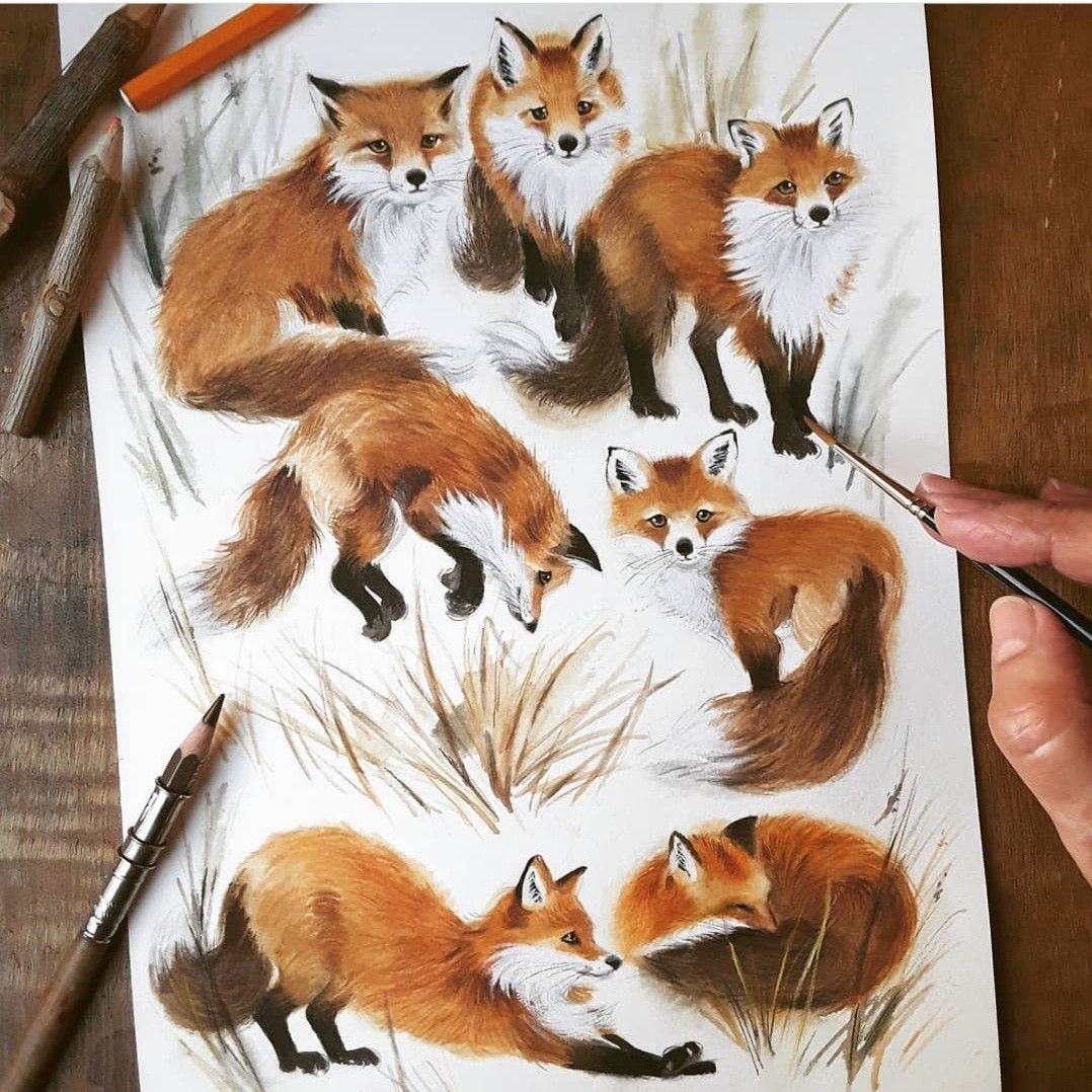 Красивые рисунки на тему лесные животные (3)