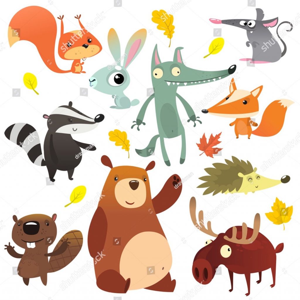 Красивые рисунки на тему лесные животные (7)