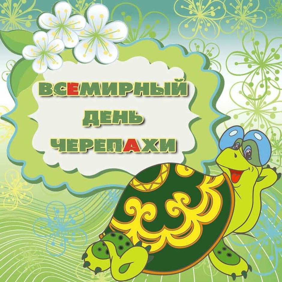 Открытки на праздник Всемирный день черепах (12)