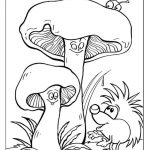 Прикольные картинки грибочки для детей раскраски