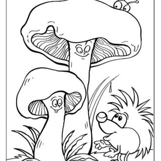 Прикольные картинки грибочки для детей раскраски (30)