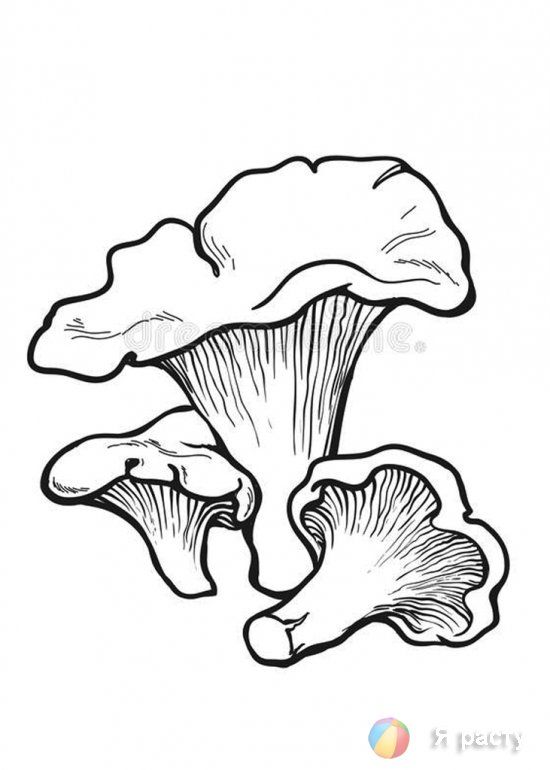 Прикольные картинки грибочки для детей раскраски (5)