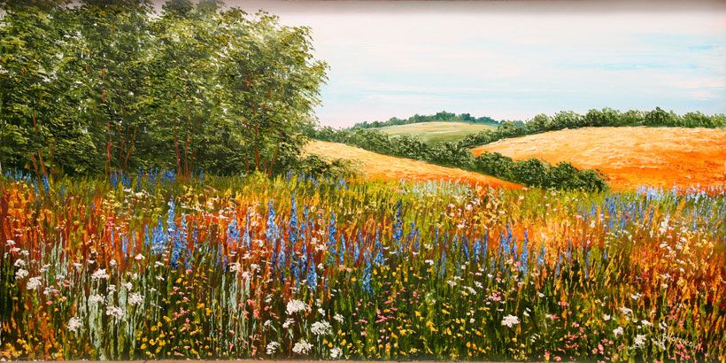 Рисунок карандашом поле с цветами (29)