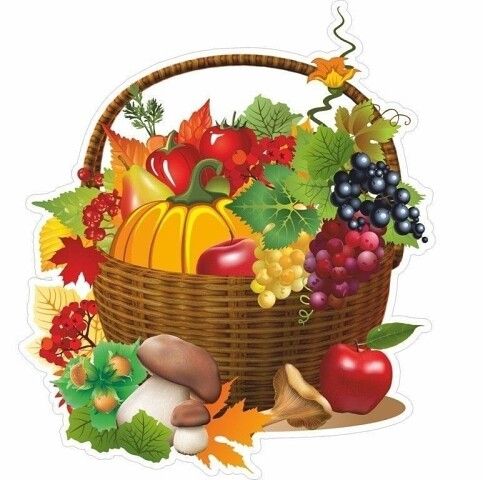 Урожай овощей и фруктов картинки (24)