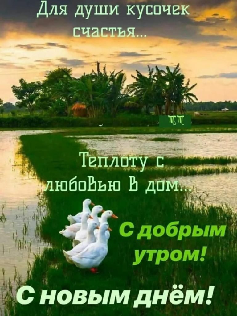 Доброе утро лето, пусть день принесет много радости - открытки (22)