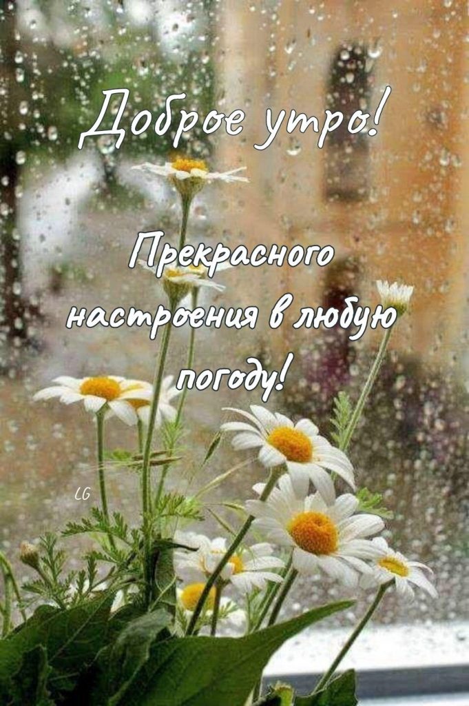 Доброе утро лето, пусть день принесет много радости - открытки (7)