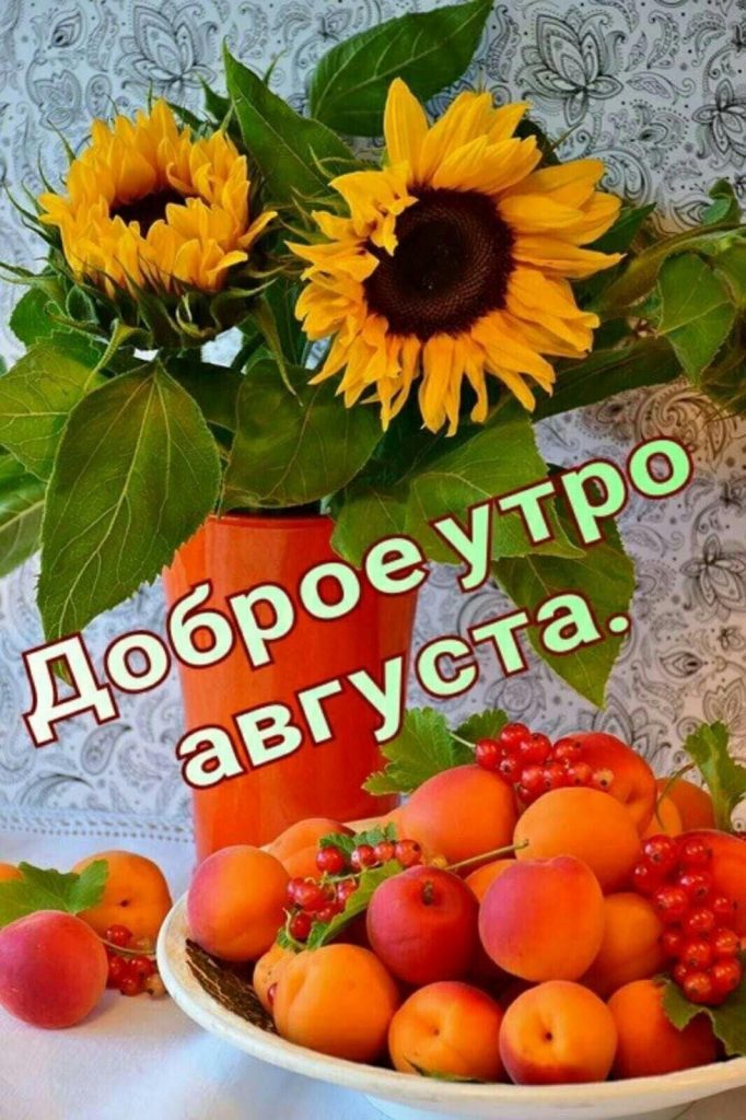 С добрым утром, лето, природа за 2023 год (26)