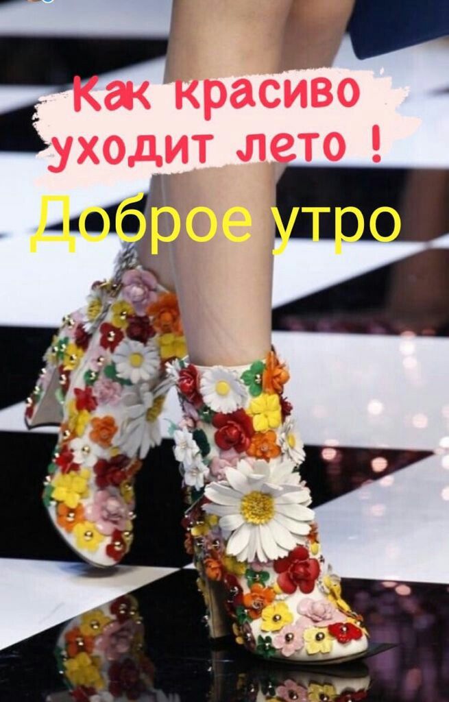 Доброе летнее утро августа - фото 2023 (1)