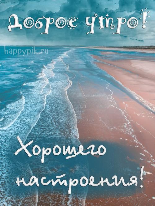 Доброе летнее утро августа - фото 2023 (13)